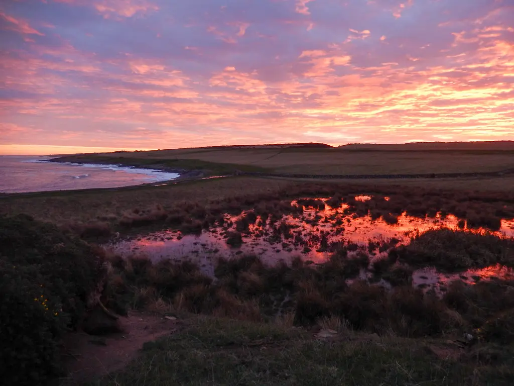 Vivid red sunset over grass and puddles by the sea