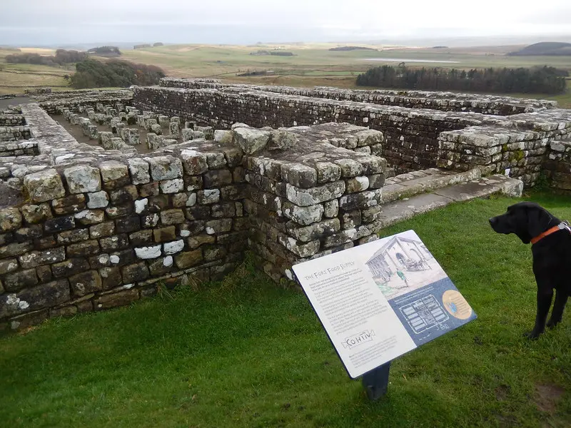 Remains of walls of a Roman fort behind an information-board and a dog