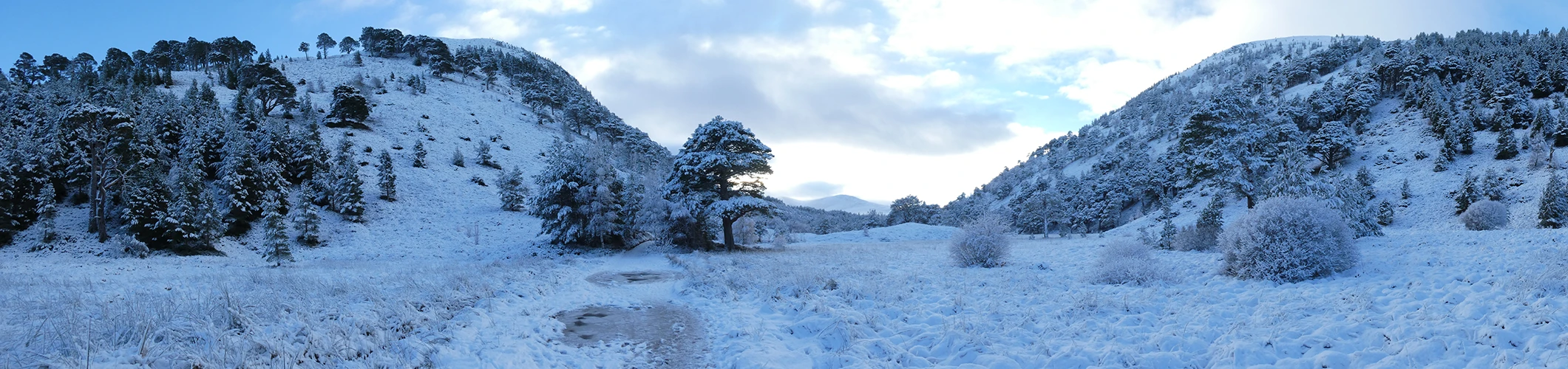 Panorama of a a snowy valley with mountains and trees and an icy footpath