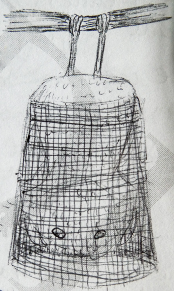 Pen drawing of a bat wearing a sarong