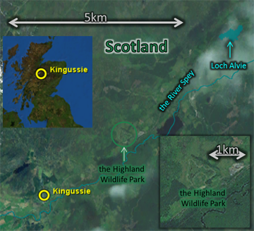 Map: for 2010Apr05, showing Kingussie, Loch Alvie, the Highland Wildlife Park, etc.