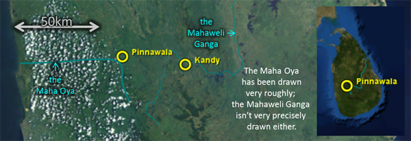 Map: for 2011Apr16, showing Kandy, Pinnawala, the Maha Oya, etc.