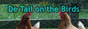 Footer: end of "De Tail on the Birds" series of articles